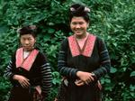 Hmong rojo