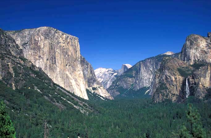 Yosemite N. P.