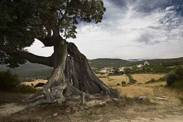 Aure. Eraul (Navarra)